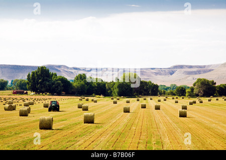 Ackerland, Wyoming, USA Stockfoto