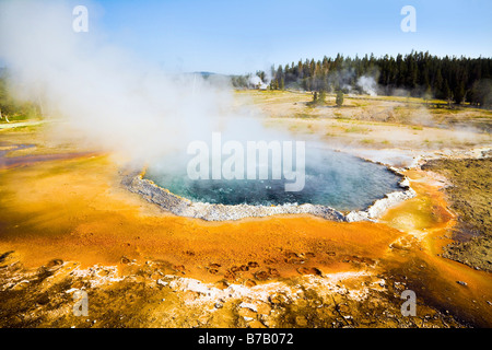 Thermalquelle, Yellowstone-Nationalpark, Wyoming, USA Stockfoto