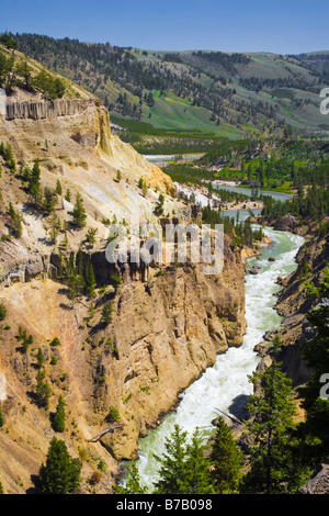 Turm fällt und Canyon, Yellowstone-Nationalpark, Wyoming, USA Stockfoto