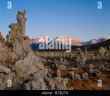 KALKTUFF-Formationen steigen aus den Wassern des MONO LAKE in der Nähe der SIERRA NEVADA Berge EASTERN SIERRA CALIFORNIA Stockfoto
