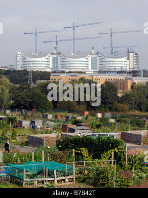 Die neue Queen Elizabeth Hospital, Edgbaston, Birmingham im Bau. Dieser Ansicht zeigen Kleingärten Vordergrund. Stockfoto