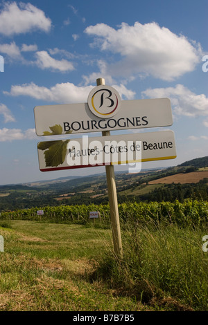 Unterzeichnen Sie auf dem Weg zur Nolay Weinberg in der Hautes-Côtes de Beaune Region Côte d ' or Frankreich EU Stockfoto