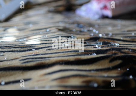 Zerbrochene Glas auf einem Sofa Cover in einem Haus nach eine Rakete aus Gazastreifen traf in der südlichen Stadt Ashkelon, Israel abgefeuert Stockfoto