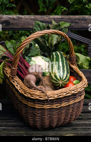 WEIDENKORB MIT KNOCHENMARK TOMATEN BLUMENKOHL ROTE BETE KARTOFFELN GEMÜSE Stockfoto