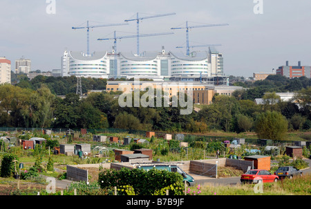 Die neue Queen Elizabeth Hospital, Edgbaston, Birmingham im Bau. Dieser Ansicht zeigen Kleingärten Vordergrund. Stockfoto