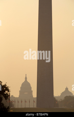 Washington Momument & US Capitol, Washington D.C., USA Stockfoto