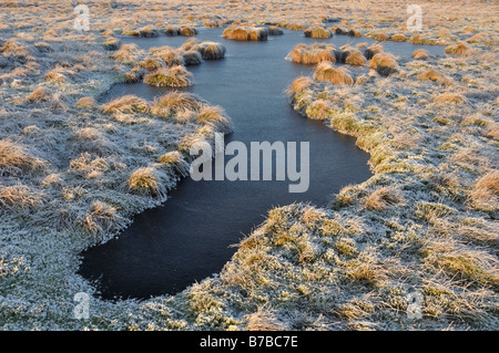 Gefrorene Pool Kevelin moor North Pennines Stockfoto