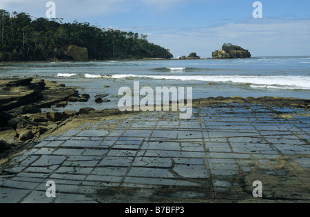 Tessellierte Pflaster auf Tasmanien Stockfoto