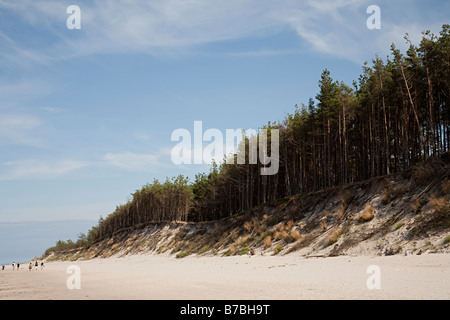 Menschen zu Fuß vorbei an Bäumen erodiert aus Sanddünen am Rande des Slowinski Nationalpark Strand an der Ostsee Polen Stockfoto