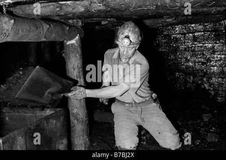 Bergmann, Schaufeln Kohlenmine in Straßenbahn u-Bahn bei Blaencuffin Kohle am Berghang oberhalb Pontypool Torfaen South Wales UK Stockfoto