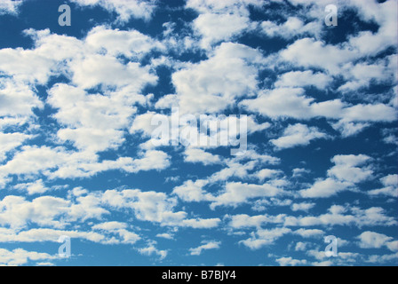 Flauschige weiße Wolken gegen ein strahlend blauer Himmel Stockfoto