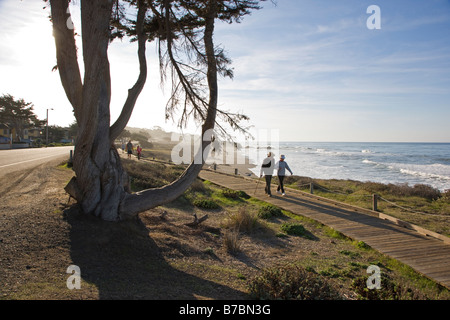 Besucher zu Fuß auf dem Holzsteg vorbei an einem Cypruss Baum, San Simeon State Park, San Simeon, Kalifornien, USA Stockfoto