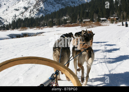 Hundeschlitten über die verschneiten Berge Stockfoto