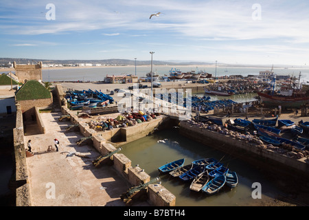 Essaouira Marokko Nordafrika hohe Ansicht über alte Festungsstadt Wälle und Fischerhafen an Westküste Stockfoto