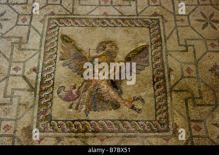 Mosaik am Haus des Dionysos in Pafos-Zypern Stockfoto