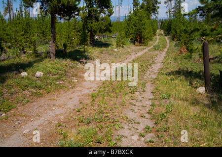 Yellowstone-Nationalpark Stockfoto