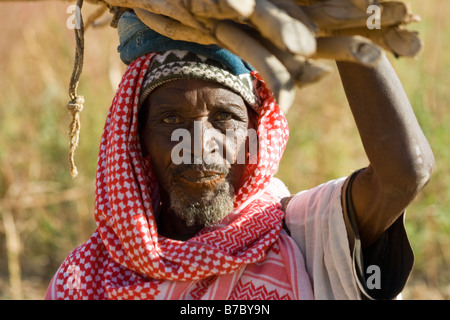 Ältere Dogon Mann tragen Holz auf seinem Kopf in dem Dorf Yendouma in zahlt Dogon in Mali Stockfoto