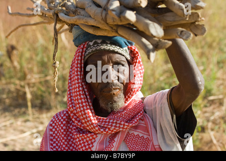 Ältere Dogon Mann tragen Holz auf seinem Kopf in dem Dorf Yendouma in zahlt Dogon in Mali Stockfoto