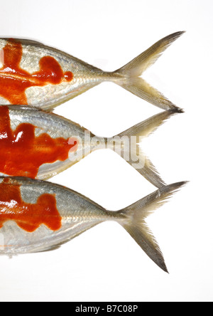 Drei ganze Fischschwänzen mit roten heißen pikanter sauce Stockfoto