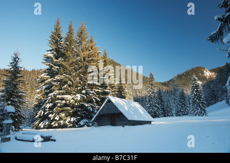 Winterlandschaft in der hohen Tatra, Polen Stockfoto