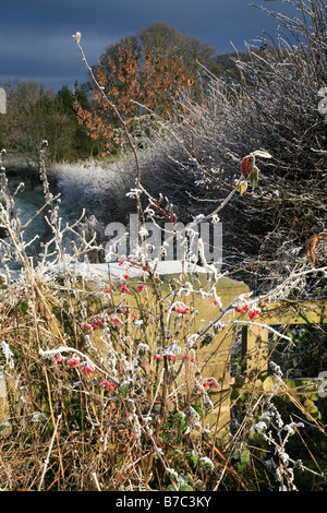 Ein Winter-Morgen auf dem Kanal zwischen Macclesfield & Bollington Stockfoto