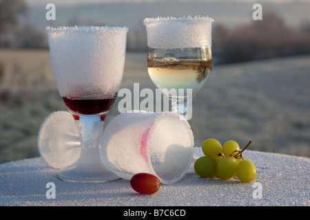 Morgen-nach-Nacht-before gefrostet und gebrochene Glas Wein Partei bleibt auf gefrorenen Land UK Stockfoto