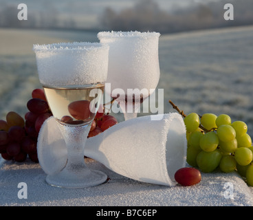 Morgen-nach-Nacht-before gefrostet und gebrochene Glas Wein Partei bleibt auf gefrorenen Land UK Stockfoto