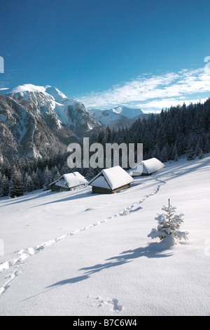 Schneelandschaft genommen an Weihnachtszeit, hohe Tatra, Polen Stockfoto