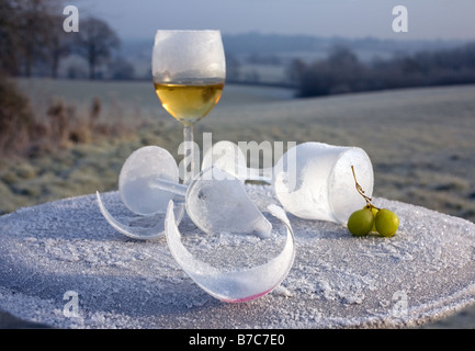 Morgen-nach-Nacht-before gefrostet und gebrochene Glas Wein Partei bleibt auf gefrorenen Land UK Stockfoto