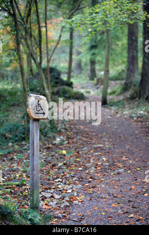 Route durch den Wald für Behinderte, Snowdonia, Wales, UK Stockfoto