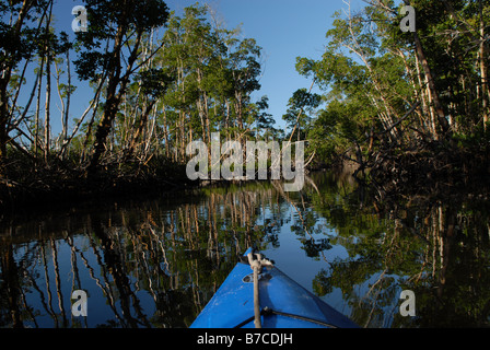 Kajak fahren in Florida Stockfoto