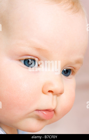Baby 7 Monate alt Porträt Spanferkel Stockfoto
