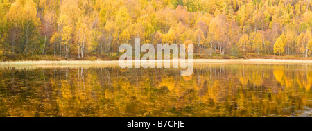 Herbst Reflexionen, Cairngorms National Park, Highlands, Schottland, UK Stockfoto