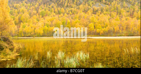 Windigen Herbsttag, Cairngorms National Park, Highlands, Schottland, UK Stockfoto