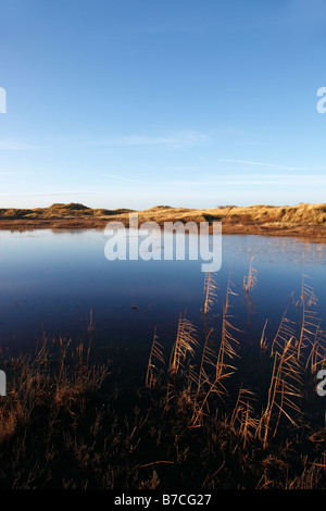 Sand dune Lebensraum mit saisonal überfluteten Durchhang in winterainsdale Stockfoto