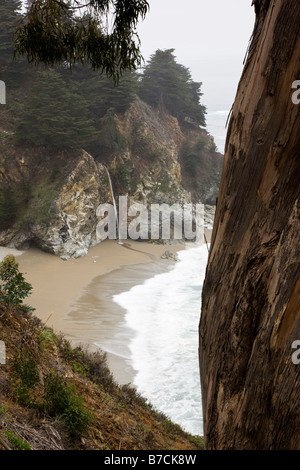 McWay Falls, Julia Pfeiffer Burns State Park, Big Sur Küste, Kalifornien, USA Stockfoto