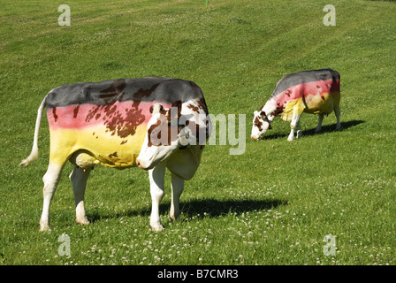 Hausrind (Bos Primigenius F. Taurus), Kühe gemalt in den Farben der deutschen Flagge von Fußball-Fans, Deutschland Stockfoto