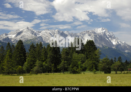 niedrig-Moor Moor in der Nähe von Farchant; in der Backgroung Berg Wettersteingebirge mit Zugspitze, Deutschland, Bayern, Farchant Stockfoto