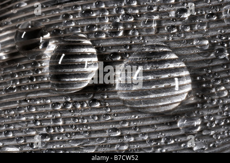 Morning Dew winzigen Wassertröpfchen auf eine Feder Stockfoto