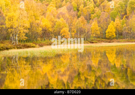 Herbst Reflexionen, Cairngorms National Park, Highlands, Schottland, UK Stockfoto