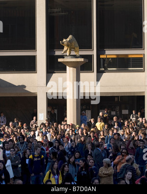 Der erste beobachtete Masse vor Zellerbach Hall Cal Bear Statue an der University of California in Berkeley. Stockfoto