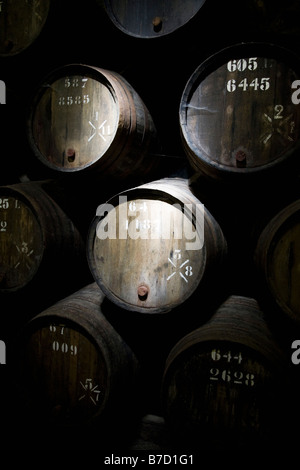 Weinfässer im Keller Stockfoto