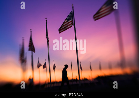 Flaggen, die rund um das Washington Monument bei Sonnenuntergang, Washington DC, USA Stockfoto