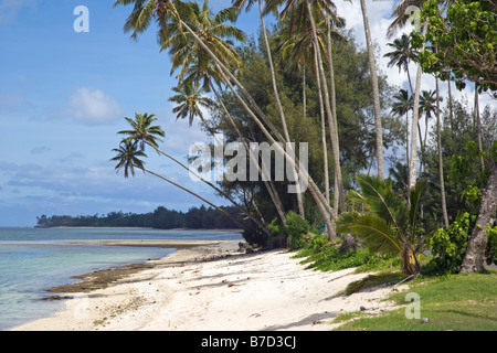 Raratonga Cook Inseln Strand Stockfoto