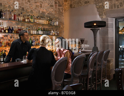 Männlicher Barkeeper im Gespräch mit Kunden Stockfoto