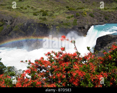 Regenbogen und Firebush am Salto Grande Wasserfall, Torres del Paine Nationalpark, Patagonien, Chile, Südamerika Stockfoto