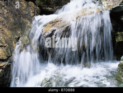 Mountain Stream Stockfoto