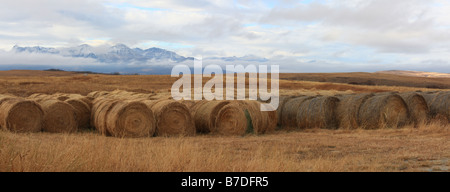 Felsigen Strecke der Waterton Lakes National Park mit Heuballen im Vordergrund, Alberta Stockfoto