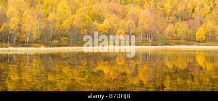 Herbst Reflexionen, Cairngorms National Park, Highlands, Schottland, UK Stockfoto