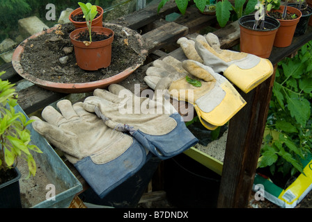 Zwei Paar Gartenhandschuhe lag auf einem Pottingbank in einem grünen Haus Stockfoto